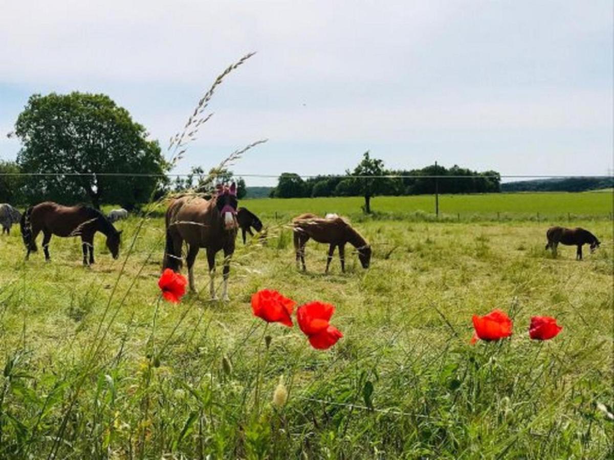 Ferienhof Pfeiffer Büchen Eksteriør billede